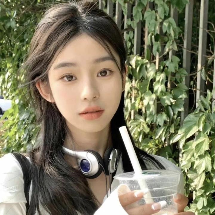 与鲨鱼游弋